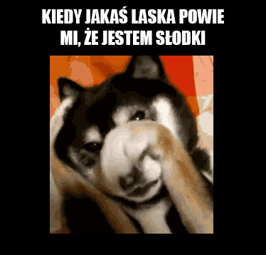 Słodziak - Hopaj.pl