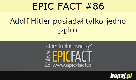 Najciekawszy fakt EVER