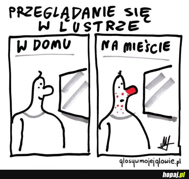 PRZEGLĄDANIE SIĘ W LUSTRZE