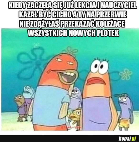TAKIE NEWSY NIE MOGĄ CZEKAĆ