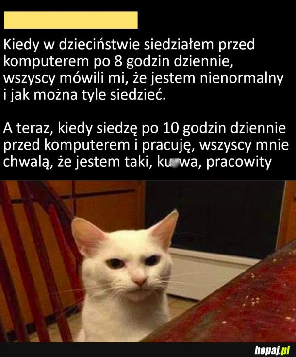 To nieźle