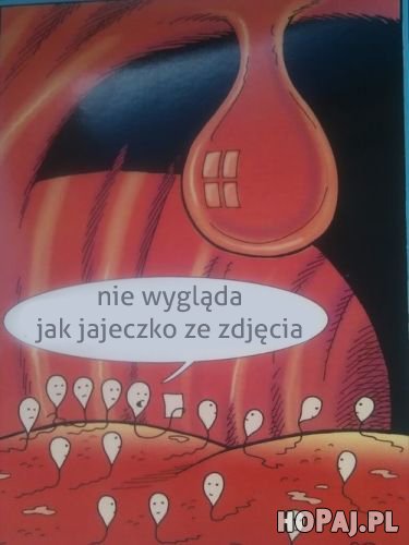 Nie wygląda jak jajeczko ze zdjęcia