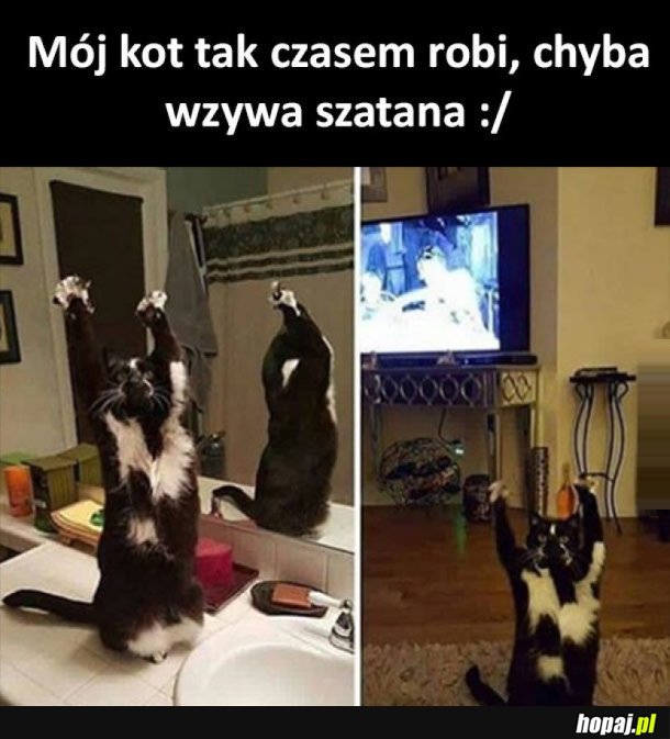 ZABIERZ TE GRAŻYNE SZATANIE