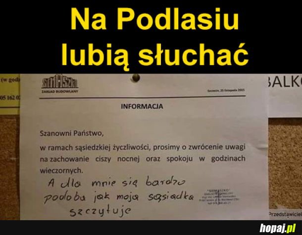 Całkiem spoko sąsiadka