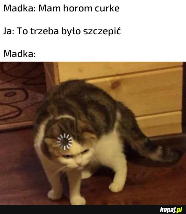 Chora curka