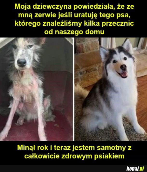 Wybór był prosty