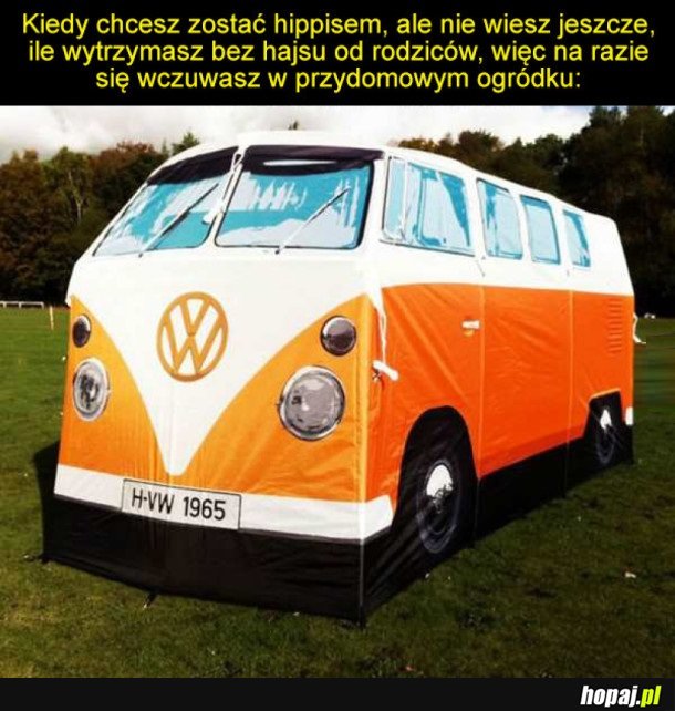 OGRÓDKOWY HIPPIS