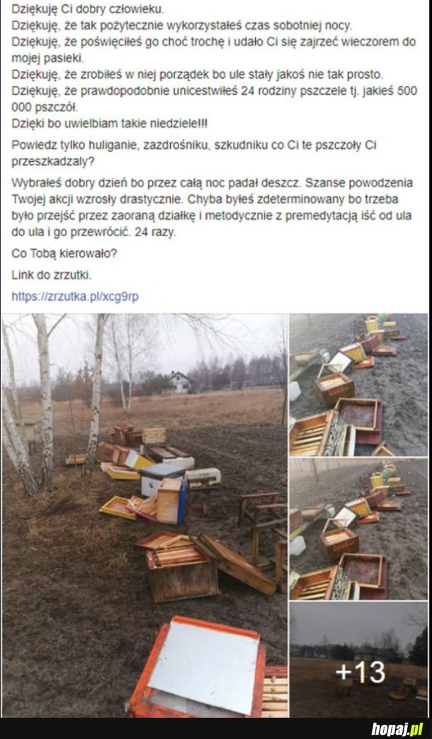 Jak to jest być debylem