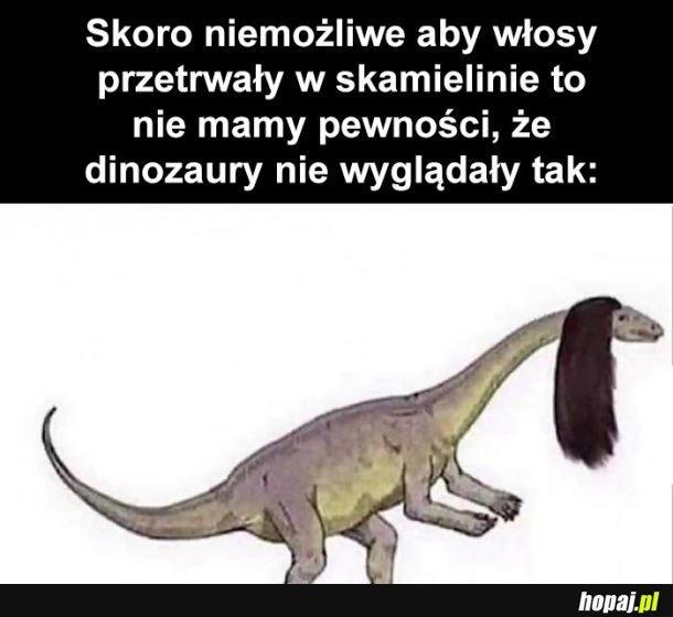  Dinozaury