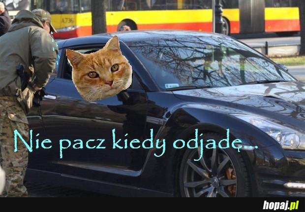 Nie pacz kiedy odjadę