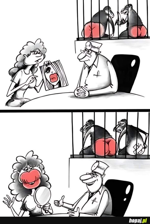 Przeszczep