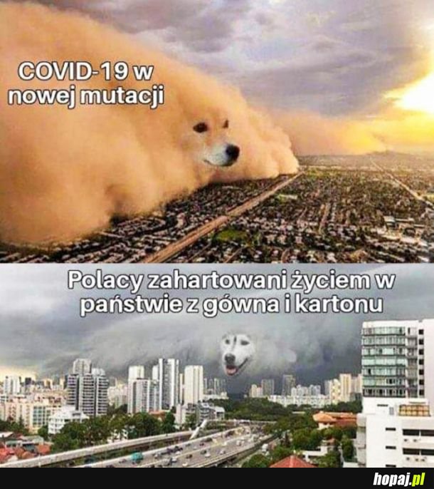 Będzie dobrze