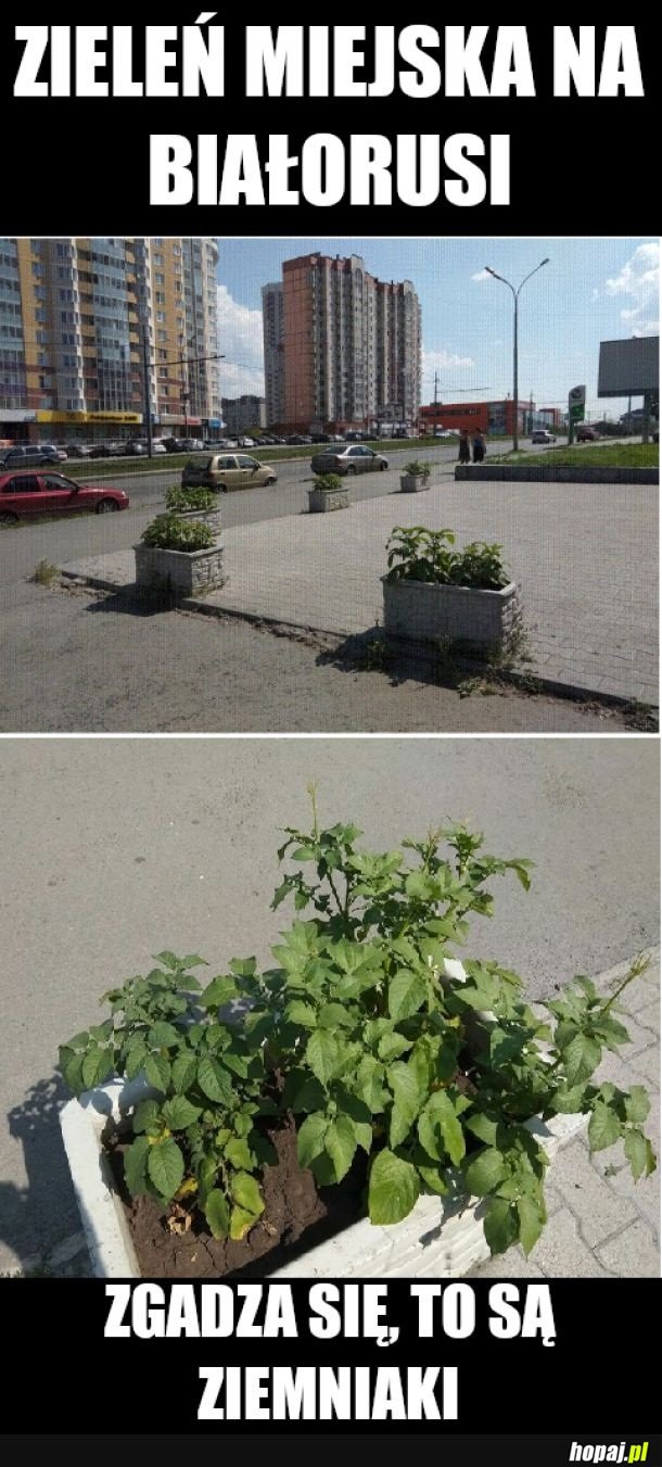Co kraj to obyczaj