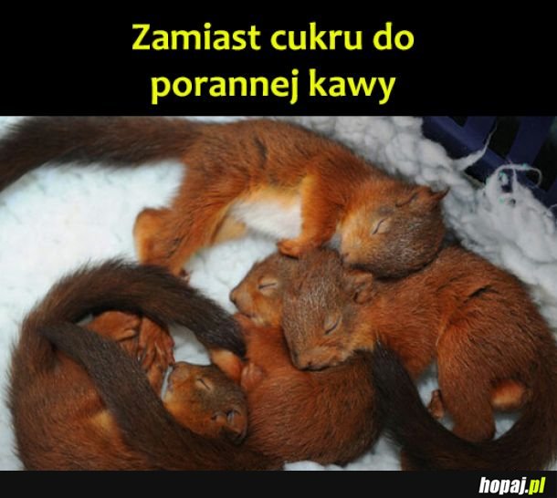 Poranna kawusia