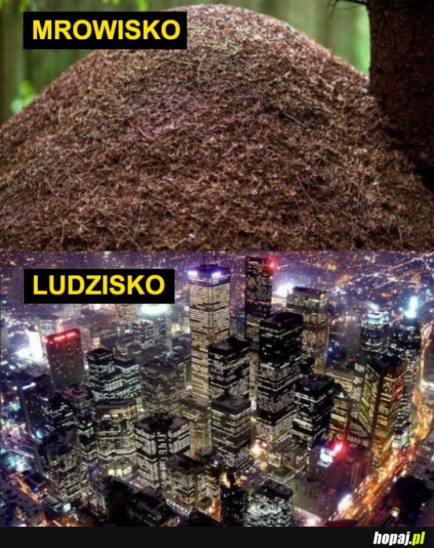 Podobnie