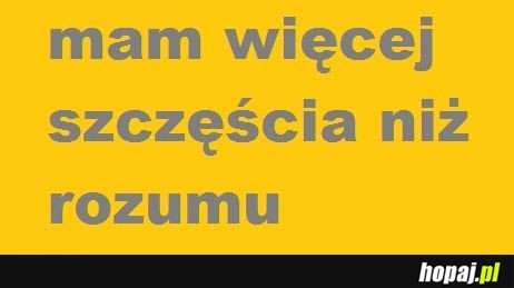 Mam wiecej szczęścia niż rozumu