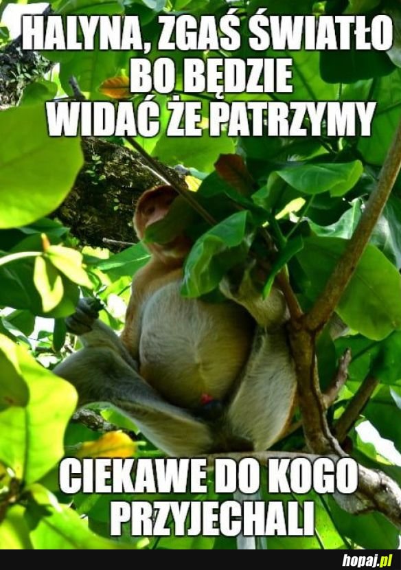 Gaś światło