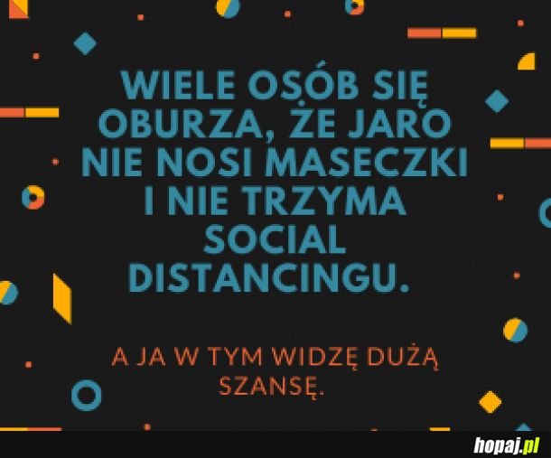 Co wolno wojewodzie...