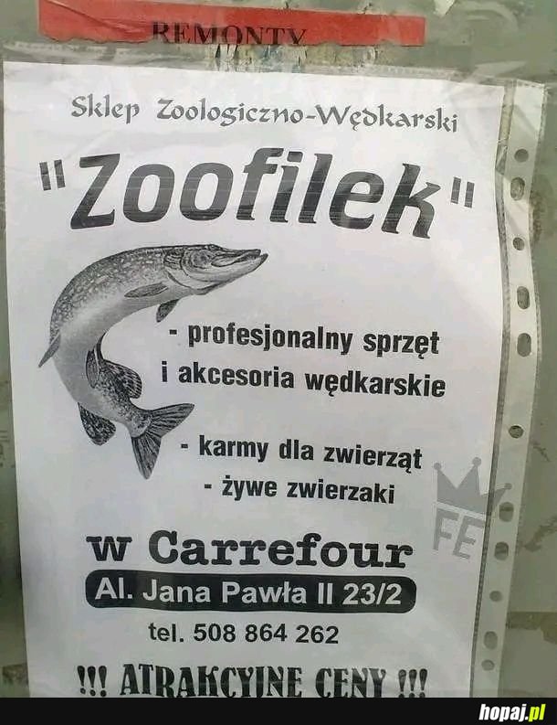 Idealna nazwa dla sklepu zoologicznego nie istnie...