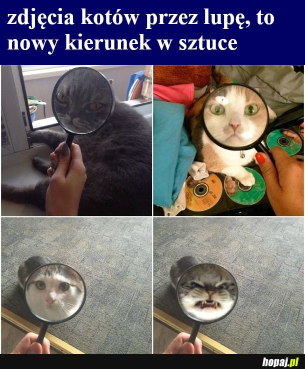 Chcesz umrzeć człowiek?