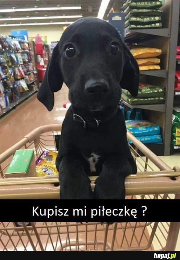 Na ładne oczy...