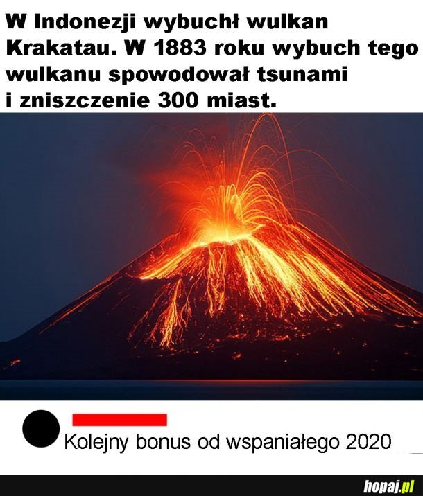 Bonusik