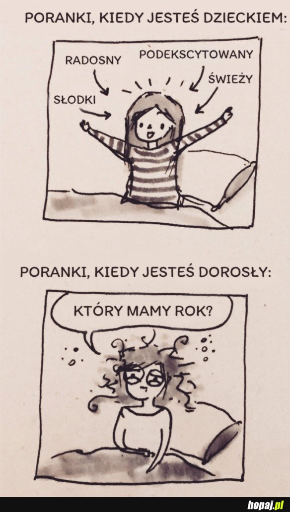 PORANKI
