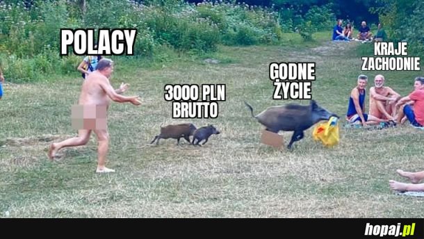 Polaki