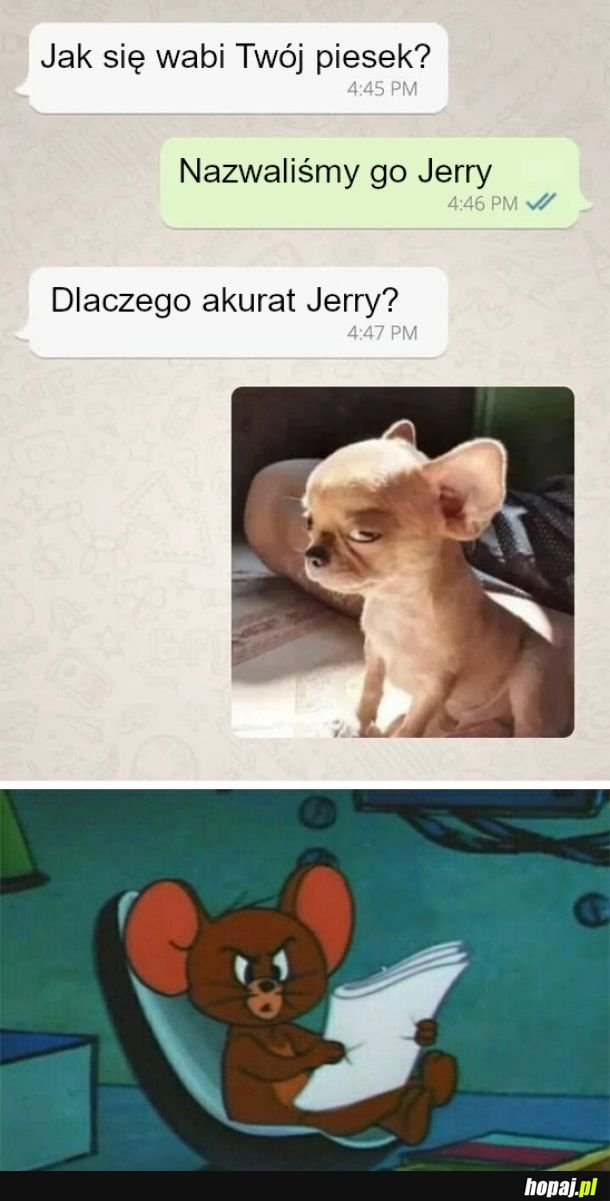 Jerry