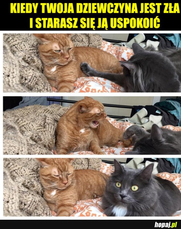 MISSION IMPOSSIBLE
