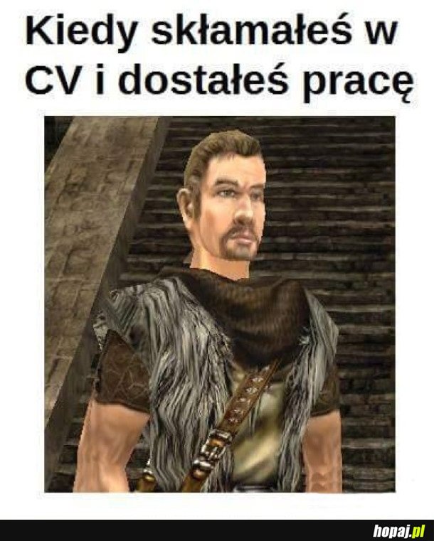 NIE KŁAMCIE W CV