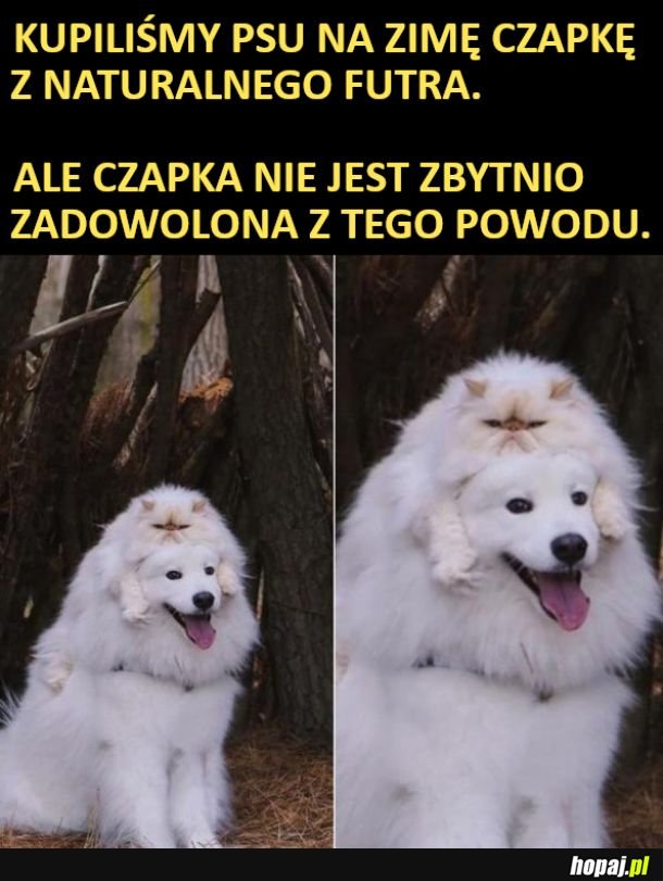 Czapka na zimę