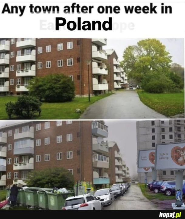 To takie prawdziwe XD