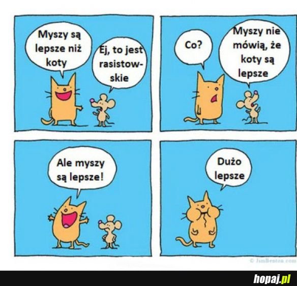 Kot i mysz