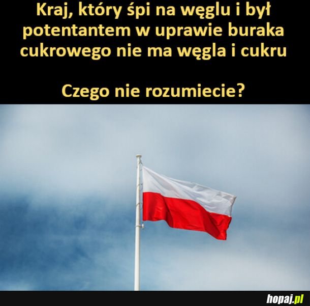 Czego nie rozumiecie?