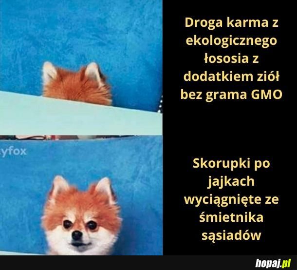 Może ma za mało wapnia?