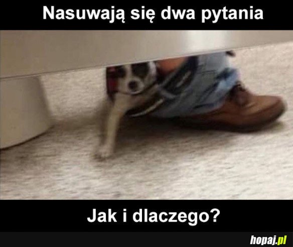 Dwa pytania