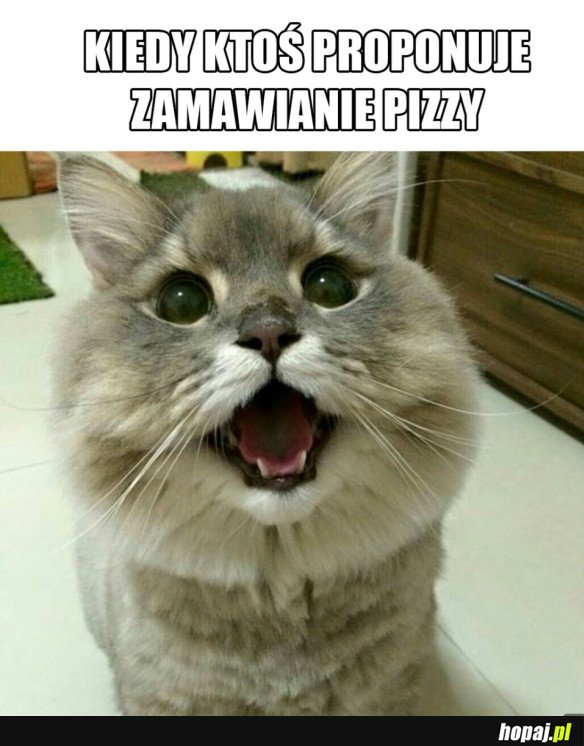 UWIELBIAM PIZZĘ