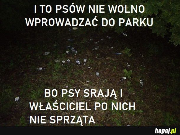 Takie znalezisko, śmietnik był 10 sekund pieszo dalej