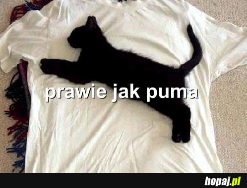 Puma.;j