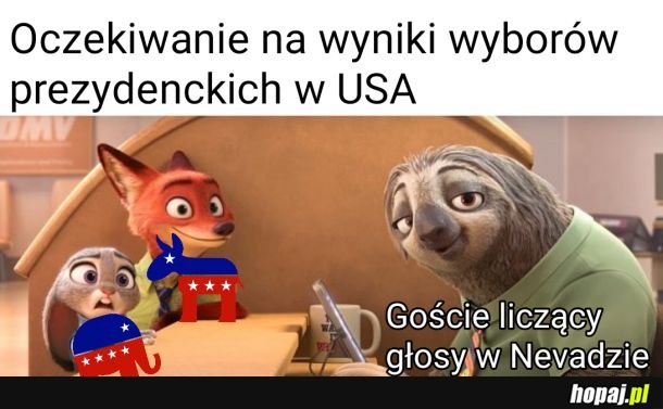 Niesamowite tempo