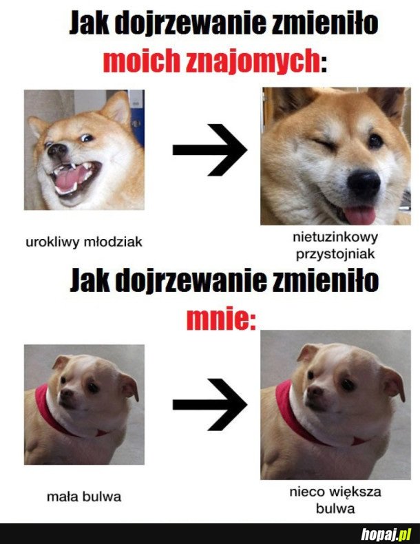 JAK DOJRZEWANIE ZMIENIA