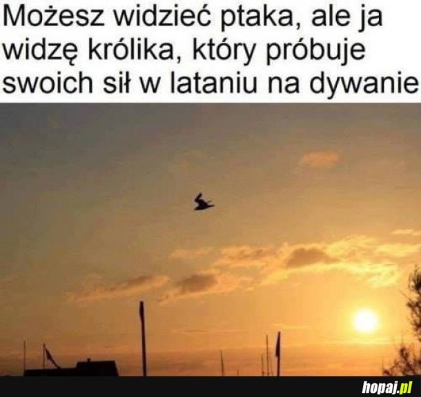 WIDZICIE TO