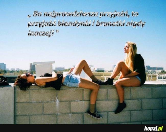 Najprawdziwsza przyjaźń