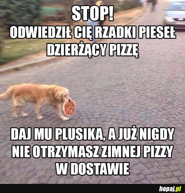 PIZZOWY PIESEŁ