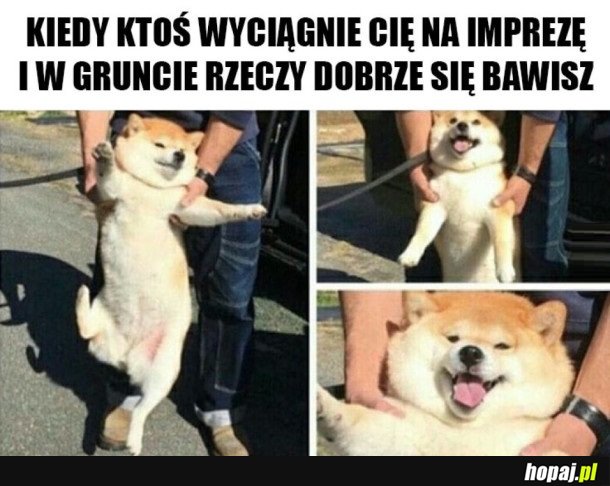 DZIĘKUJĘ CI DOBRY CZŁOWIEKU