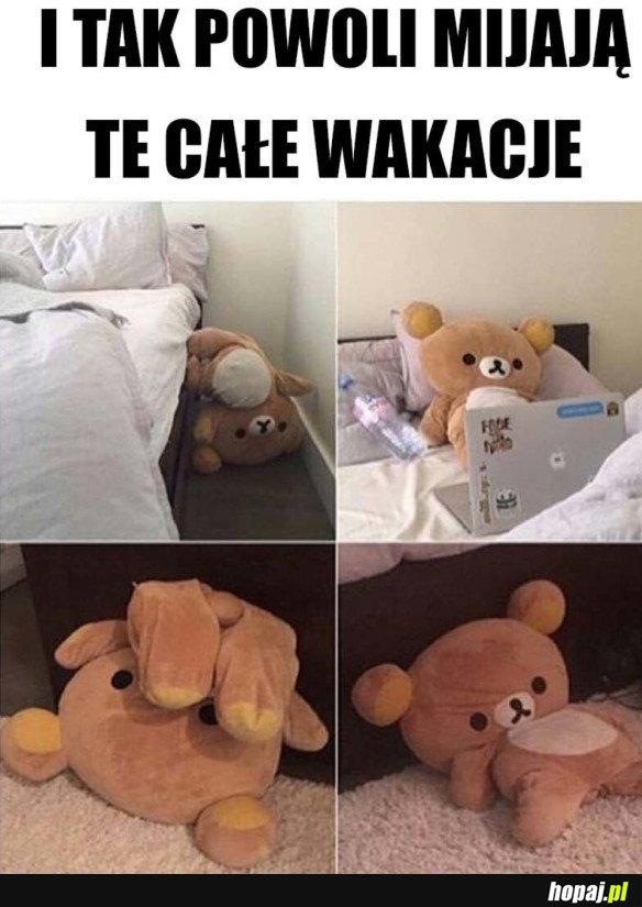 I TAK SIĘ POWOLI ŻYJE