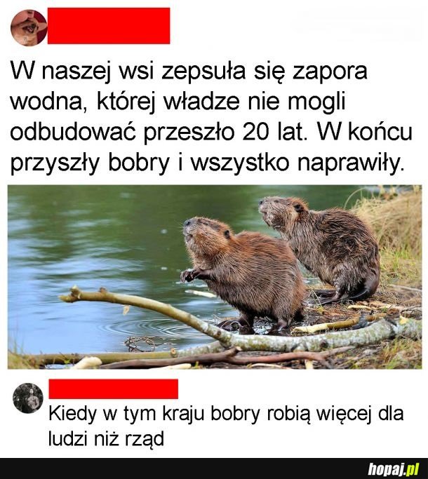 Bobry