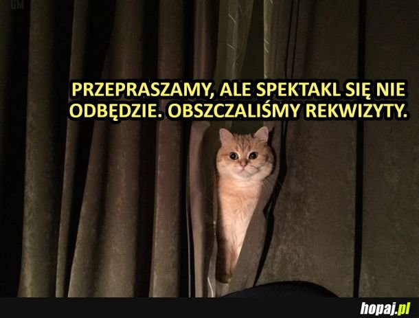 Przepraszamy, ale spektakl sie nie odbędzie