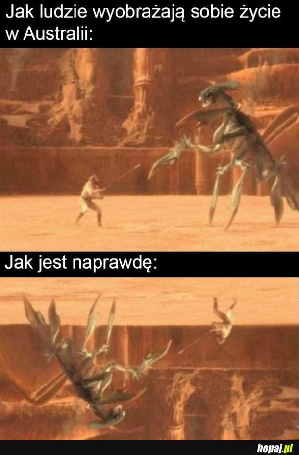 Życie w Australii
